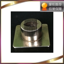 鼠脑膜 鼠脑膜