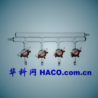 双排气体分配器
