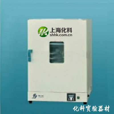 DHG电热恒温鼓风干燥箱