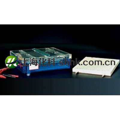 等电聚焦多用途电泳槽DYCP-37B 等电聚焦多用途电泳槽DYCP-37B