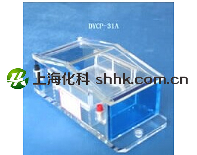 琼脂糖水平电泳槽DYCP-31A