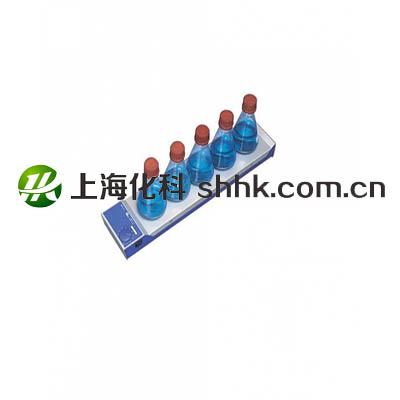 高效多点磁力搅拌器RO5