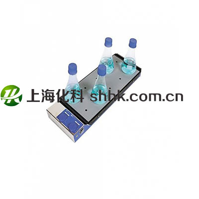 多点加热磁力搅拌器RT10