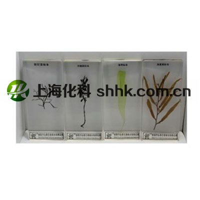 未命名_副本