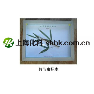 未命名_副本