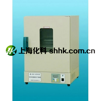 电热恒温干燥箱DHG-9031A