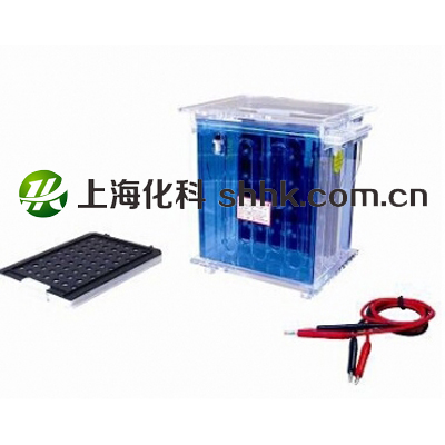 转移电泳槽DYCZ-40A