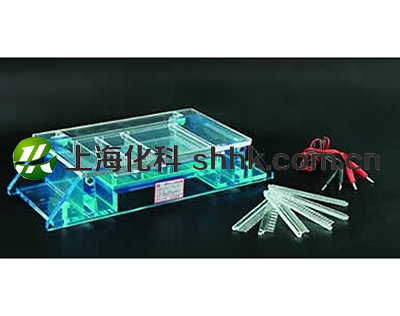琼脂糖水平电泳槽DYCP-33A 琼脂糖水平电泳槽DYCP-33A