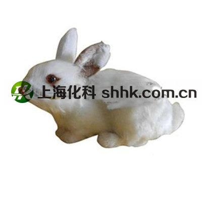 43152兔外形标本（小学科学）