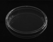 10厘米细胞培养皿