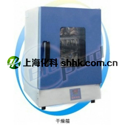电热干燥箱DHG-9031A