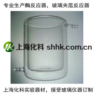 玻璃双层酶反应器，玻璃夹层酶反应器，玻璃夹套烧杯，夹层反应器